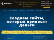 Продающие интернет-решения - WebToSale