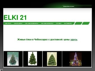 Elki21.ru - Ёлки в Чебоксарах оптом и в розницу по выгодным ценам.