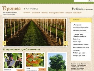 Все для благоустройства сада, мебель и растения для сада, магазин «Протея» в Калининграде