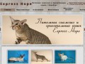 Питомник сиамских и ориентальных кошек в Оренбурге - Питомник сиамских и ориентальных кошек