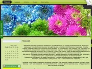 Цветы и сувениры Великий Новгород