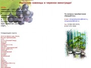 Саженцы винограда в Саратове - Home