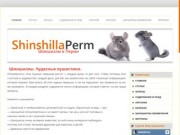 ShinshillaPerm | Шиншиллы в Перми