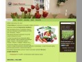 Сады Выксы-компания по продаже семян, рассады, цвнтов в Выксе
