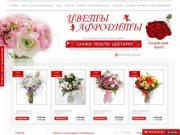 Доставка цветов в Новосибирске \ Цветы Афродиты
