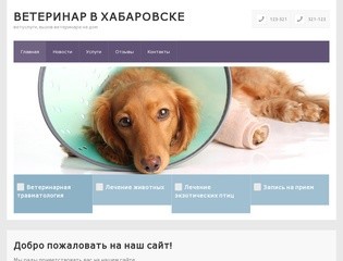 Ветеринар в Хабаровске — ветуслуги, вызов ветеринара на дом