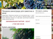 Купить виноград для вина в Cанкт-Петербурге | Продажа винограда для самогона и вина