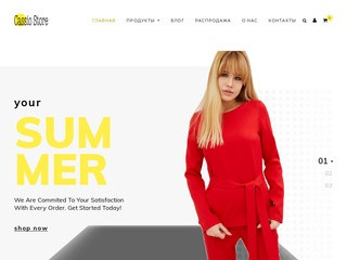 Инетрнет-магазин женской одежды (Украина, Киевская область, Киев)