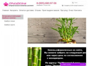 Орхидея48 - Липецкий интернет-магазин комнатных растений.