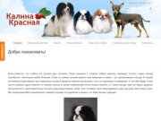 Гостиница для собак в Белгороде