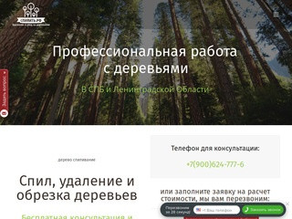 СПИЛИТЬ.РФ - Профессиональное удаление деревьев от 200 рублей.