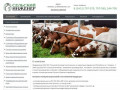 О компании / Сельский Инженер - производство и монтаж оборудования для животноводства