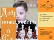 Студия Шахмат "Чемпион". Шахматы для детей в Нижнем Новгороде