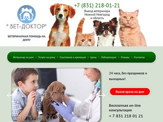 Ветеринар на дом - Вет-доктор г. Нижний-Новгород