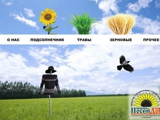 Семена в Волгограде. Семена подсолнечника. Семенной материал в Волгограде