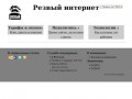 Rzvy.ru - интернет провайдер