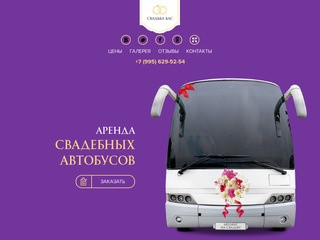 Аренда автобусов на свадьбу в Санкт-Петербурге: цены, фото, отзывы.