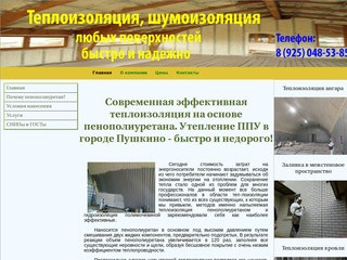 Главная | Теплоизоляция ППУ в Пушкино