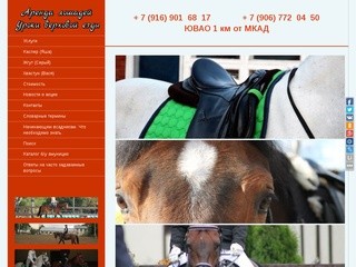 Our-horses-Аренда лошадей,уроки верховой езды,занятия конным спортом