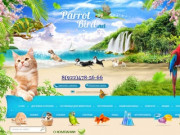 Интернет-магазин товаров для животных в Краснодаре Parrot-Bird.net