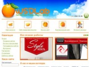 Создание сайтов в Красноярске веб студия WSDLab