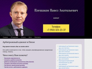 Арбитражный адвокат в Пензе / Плешаков Павел Анатольевич