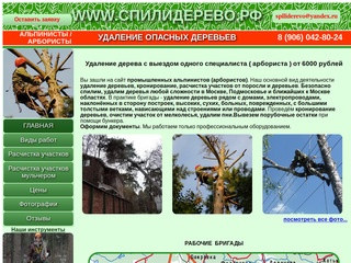 Удаление опасных деревьев | www.спилидерево.рф | 8 (906) 042-80-24