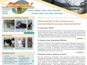 Питомник Akirvili (бывш. Island Cats) - Монопородный питомник кошек породы курильский бобтейл