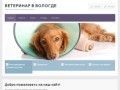 Ветеринар в Вологде — ветуслуги, вызов ветеринара на дом