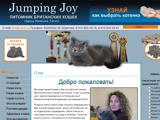 Jumping Joy :: Питомник британских кошек :: город Нижний Тагил