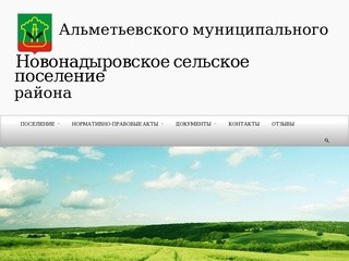 Новонадыровское сельское поселение | Альметьевского муниципального района