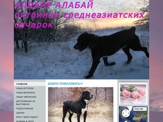 Www.aldaiaralabai.ru     У истоков питомника - таджикские аборигенные собаки
