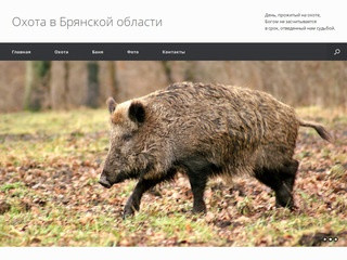 Сайт по охоте в Брянской области, цены на охоту, баня.