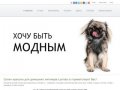 Lurinda.ru - Салон красоты для собак, кошек и котов в Уфе. Груминг