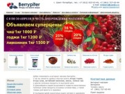 Ягоды годжи, лимонник китайский, киноа купить в  Петербурге в  интернет-магазине Berrypiter