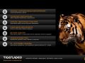 TigerVideo - Видеосъемка и видеомонтаж