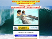 Дельфинарий в Лазаревском - дельфины, шоу, делфинотерапия, плавание с дельфинами в Сочи.