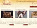 Клуб любителей кошек Кострома - Фелинологический центр Exellent г. Кострома