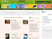 Домашние животные в Оренбурге: продажа животных, дарение, вязка