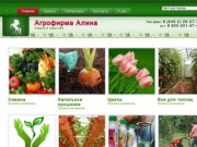 Семена профессиональные оптом и в розницу в Саратове | Агрофирма Алина