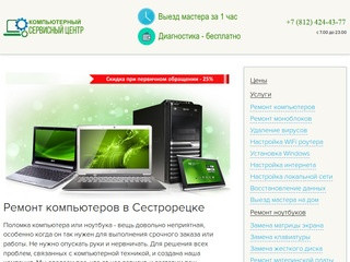 Ремонт компьютеров и ноутбуков в Сестрорецке на дому: Компьютерная помощь