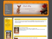 Абиссинские кошки Мак-Аби | Яркие абиссины из питомника Мак-Аби