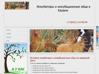 Инкубаторы в казани