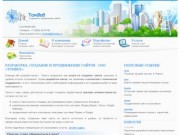 Разработка, создание и продвижение веб сайтов в Томске :: ООО «ТомВеб»