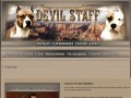 DEVIL STAFF kennel | Питомник Американских стаффордширских терьеров, г. Нижний Тагил