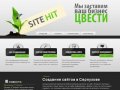 Создание сайтов в Серпухове, продвижение сайтов