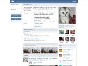 ШОТЛАНДСКИЕ КОШКИ  скоттиш-страйт и скоттиш-фолд | ВКонтакте