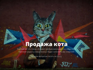 Продажа элитного кота в Москве дорого
