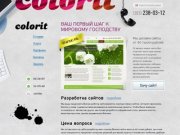 Студия «Колорит» &amp;mdash; разработка и создание сайтов в Новосибирске