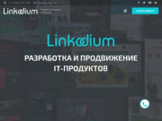 Linkodium - digital-агентство, веб-студия | Создание и продвижение сайтов в Перми
